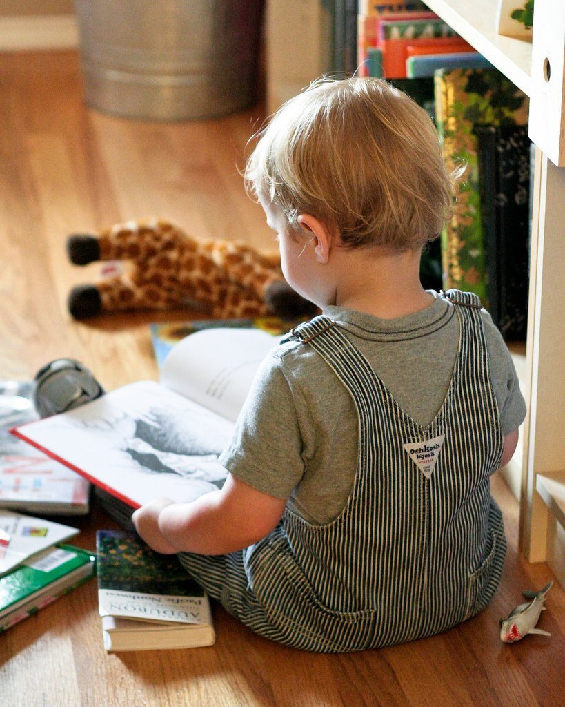 reading-with-toddlers-10-tips-for-success